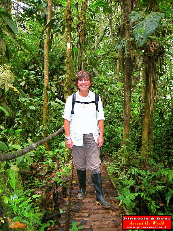ECUADOR - Foresta Amazzonica - 18.jpg